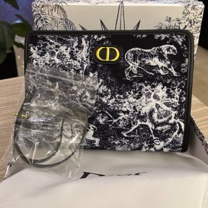 Clutch Dior