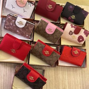 Coach Medium Corner Zip Wallet