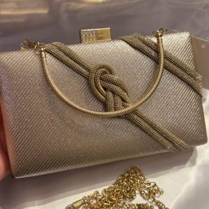 Elegant Evening Clutch