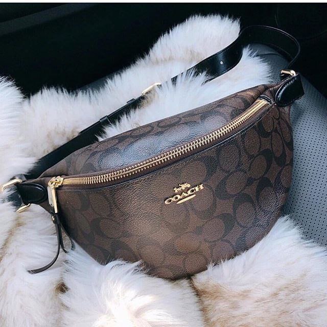 (Coach Court Belt Bag in Signature Canvas).